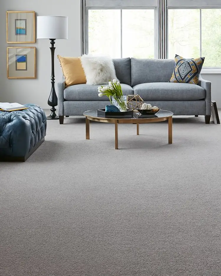 gray carpet in sitting area