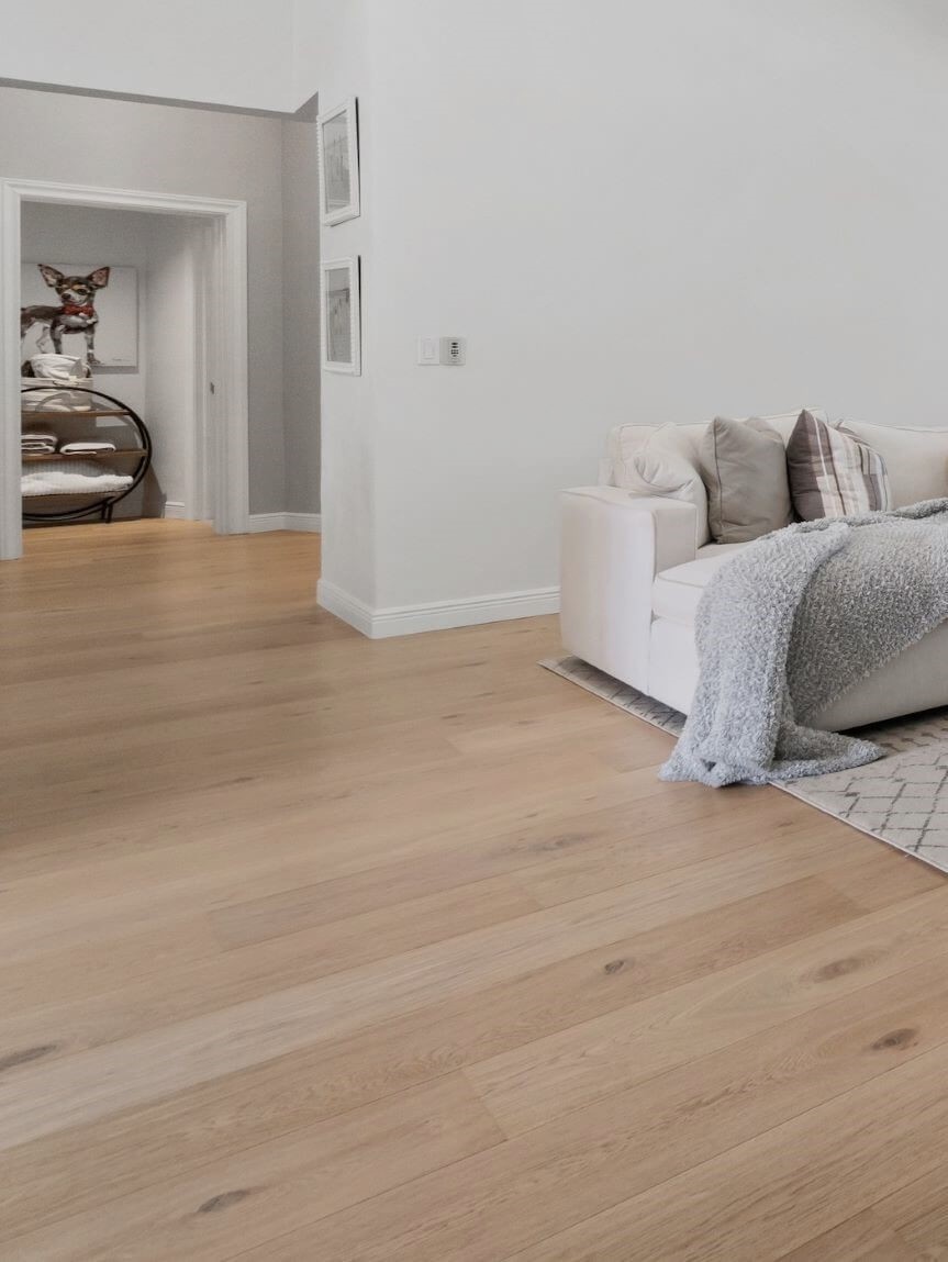 In Stock area rugs on sale at Ruggs Benedict Carpet One