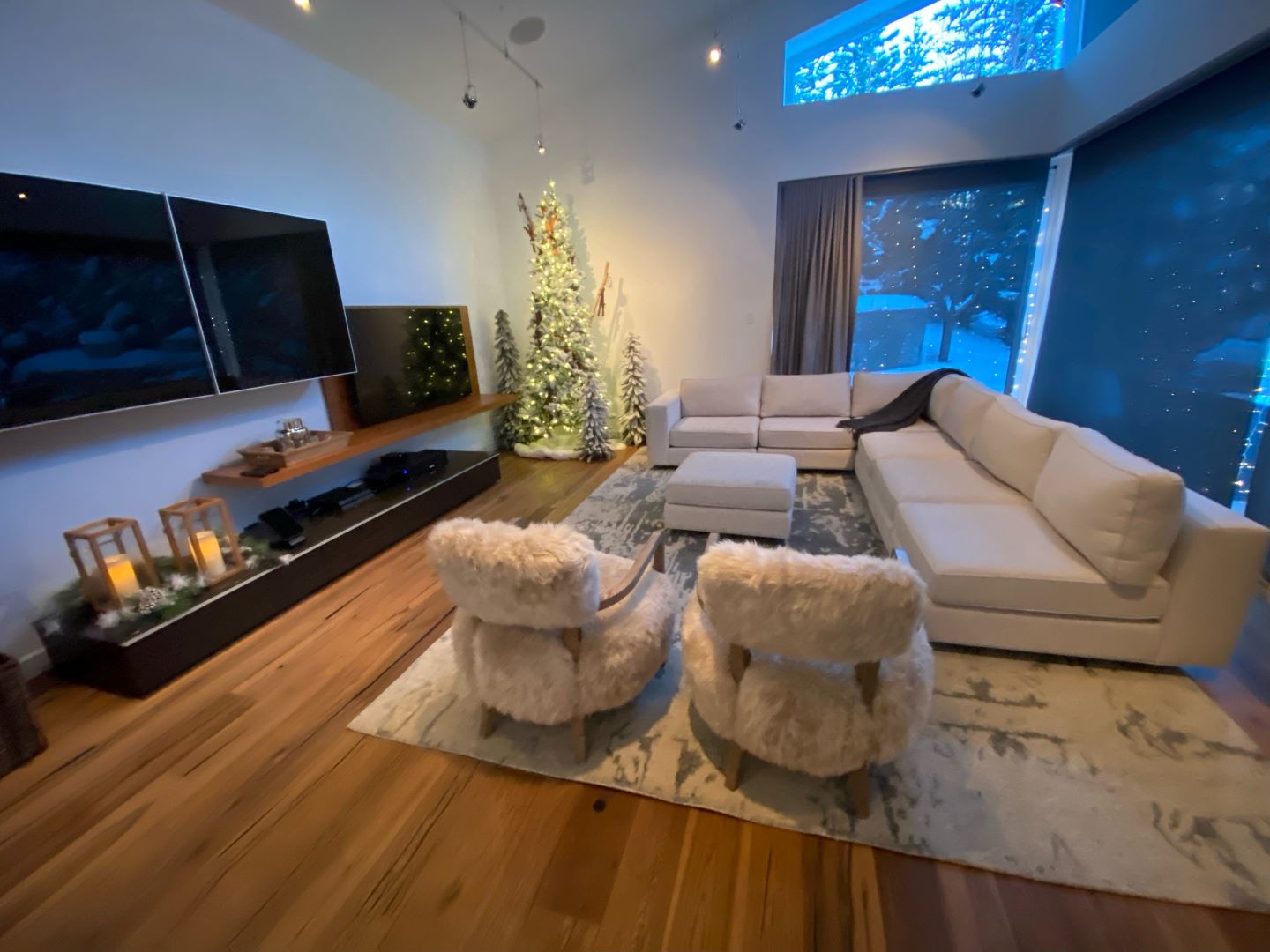 Living room area rug
