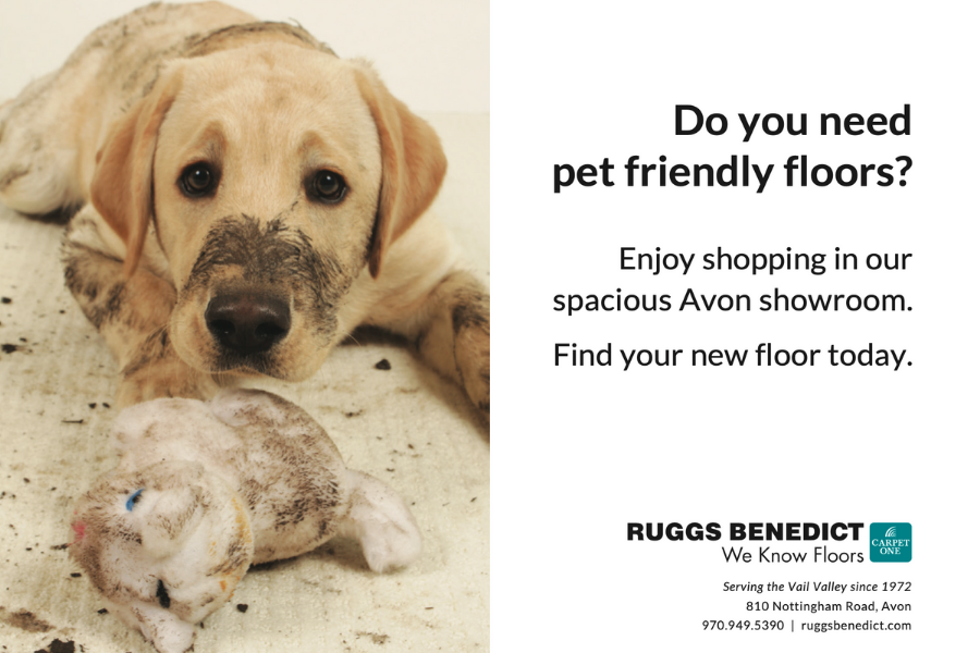 Pet Friendly Flooring Avon Ruggs Benedict